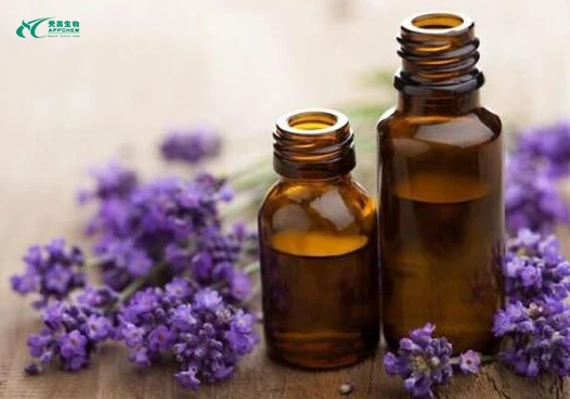 Lavender Essential Oil2