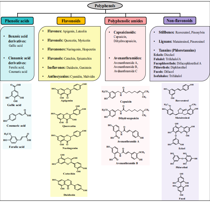 info-730-705 info-730-705