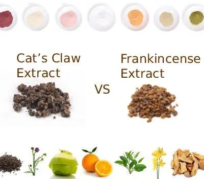 Mushuk panjasi ekstrakti va tutatqi ekstrakti: qo'shma sog'liqni saqlash uchu...