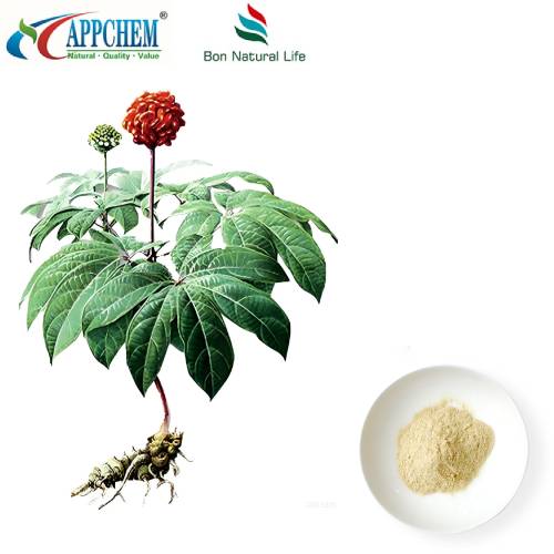 Notoginseng Radix Et Rhizoma ekstrakti
