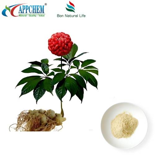 Notoginseng ildiz ekstrakti