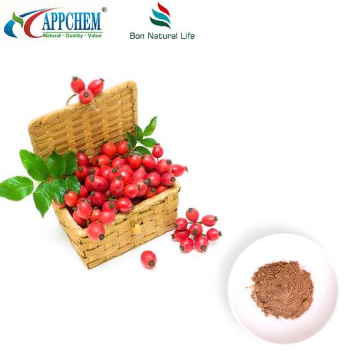 Rosehip ekstrakti kukuni