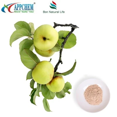 90% Phlorizin Powder HPLC test ma'lumotlari