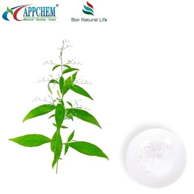 Andrographis Paniculata ekstrakti Andrographolide