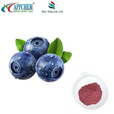 Blueberry sharbati kukuni