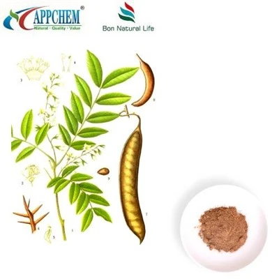 Cassia Nomame ekstrakti