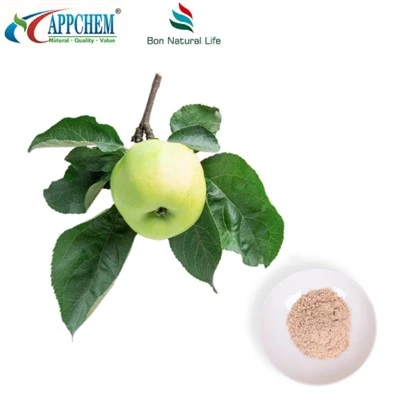 Kosmetik ingredientlar Phloretin 60-82-2