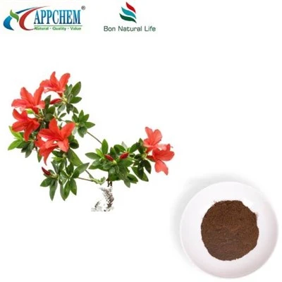 Dahurian rhodoendron barglari ekstrakti