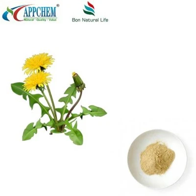 Dandelion ekstrakti kukuni flavonoidlari