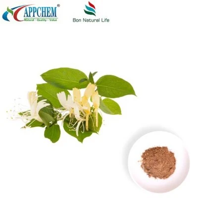 Honeysuckle gullari ekstrakti kukuni