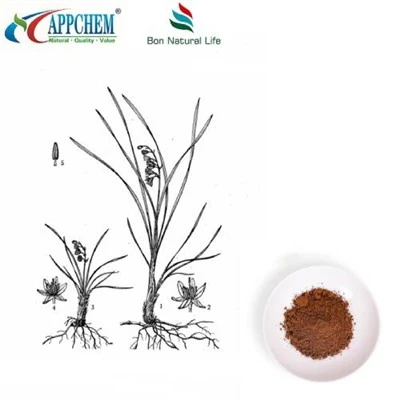 Lilyturf ildizi ekstrakti