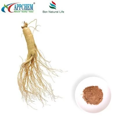 Panax Ginseng ekstrakti kukuni