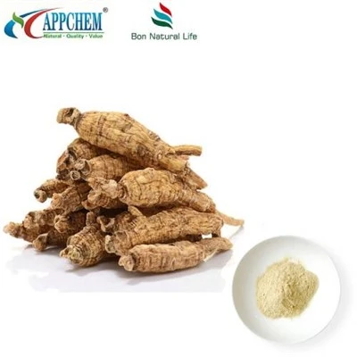 Panax Quinquefolius ekstrakti
