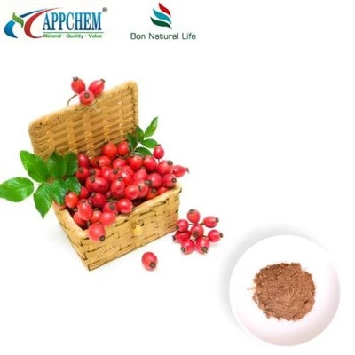 Rosehip ekstrakti kukuni