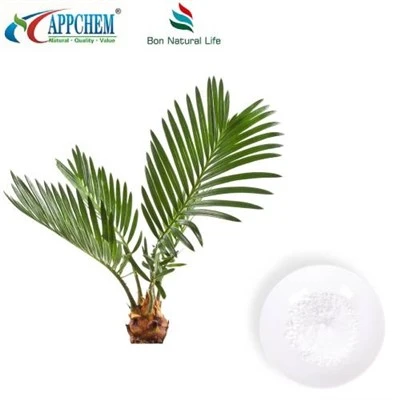 Saw Palmetto ekstrakti kukuni