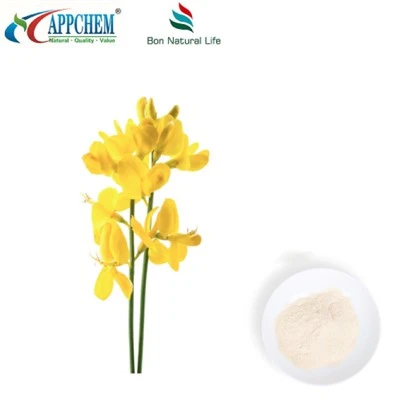 Termopsis Lancapolata R.BR ekzatsiya; Sitisine HPLC98% KUGART 485-35-8